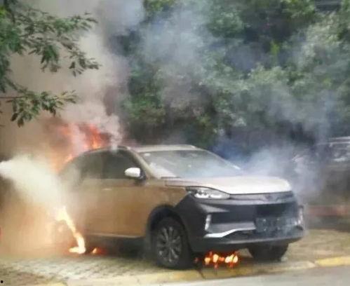 国产汽车爆燃视频播放,视频揭示事故真相