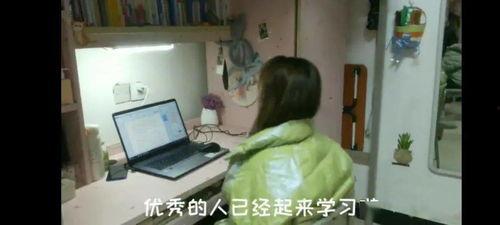 国产宅女社区视频,揭秘二次元世界的魅力与活力