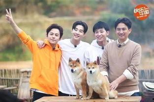 无模仿国产的原视频,国产无模仿力作揭秘