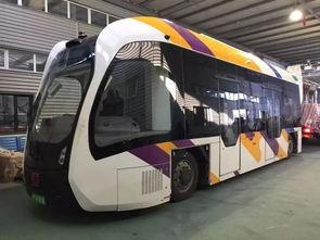 国产电车测试对比图片视频,视觉与数据双重见证