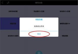 国产防盗匹配视频,视频解析创新安全守护之道