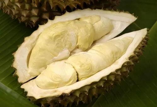 国产榴莲被吐槽视频