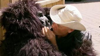 国产大猩猩搞笑视频