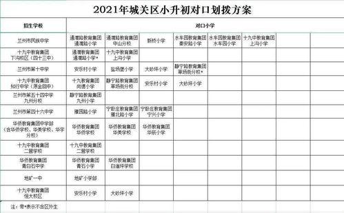 国产四区视频精品,光影交织，情感共鸣