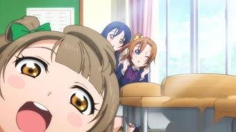 国产南小鸟视频